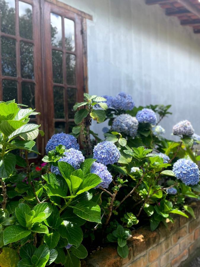 Casa Mirante Do Capao Villa Palmeiras  Ngoại thất bức ảnh